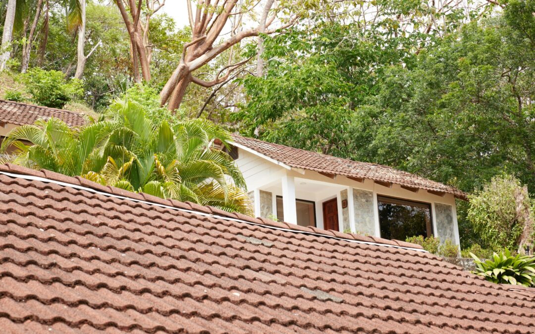 Why Roof Cleaning is Essential for Sydney Residences
